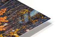 Auriol Range Fall - LS19003 HD Metal print