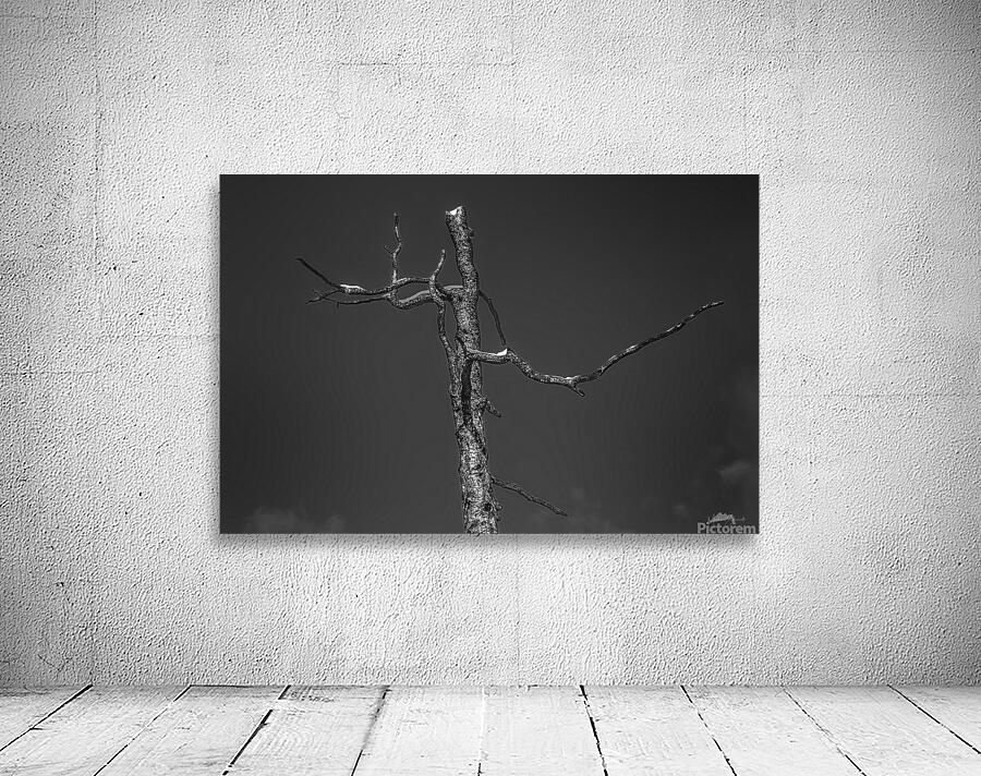 Charred   BW17001 Wall Preview
