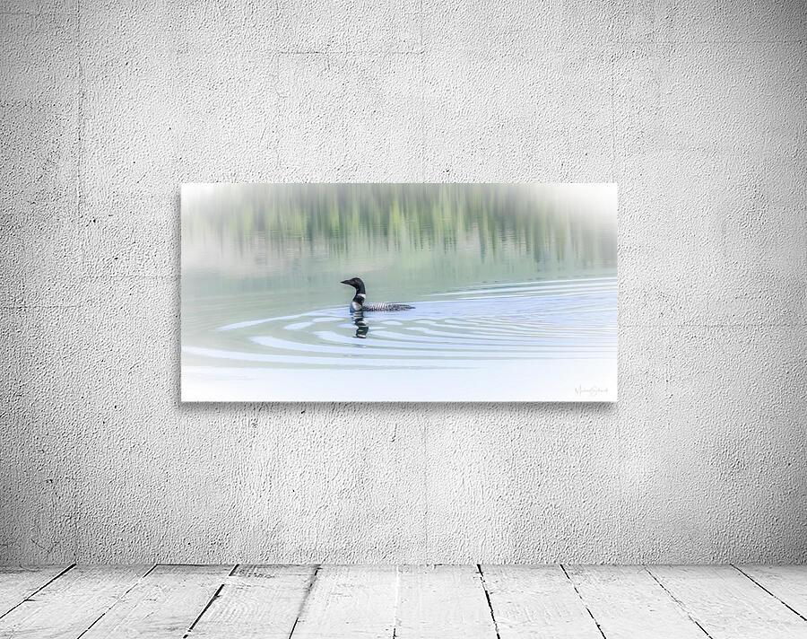 Loon Solitude - BD23004.1 Wall Preview