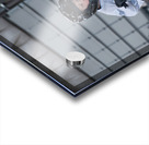 Image 118 Acrylic print