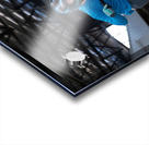 Image 130 Acrylic print