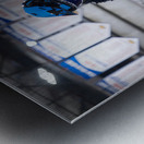 Image 95 Metal print