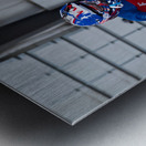 Image 116 Metal print