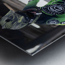 Image 123 Metal print