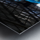 Image 130 Metal print