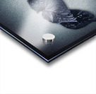 0803 Meditation In Winter Blues Acrylic print