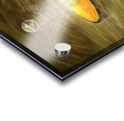 0761 Planet Alive. Acrylic print