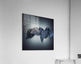 0803 Meditation In Winter Blues Acrylic Print