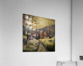 0901 The Stranger Acrylic Print