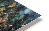 0794 Beach Tree HD Metal print