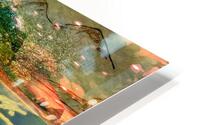 0795 Blossoming HD Metal print