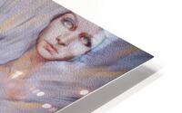 0897 The Aviatrix HD Metal print