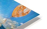 0906 SOS HD Metal print