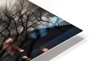 0916 Observing The Flock HD Metal print