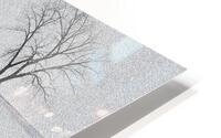 0989 Winter Swim HD Metal print