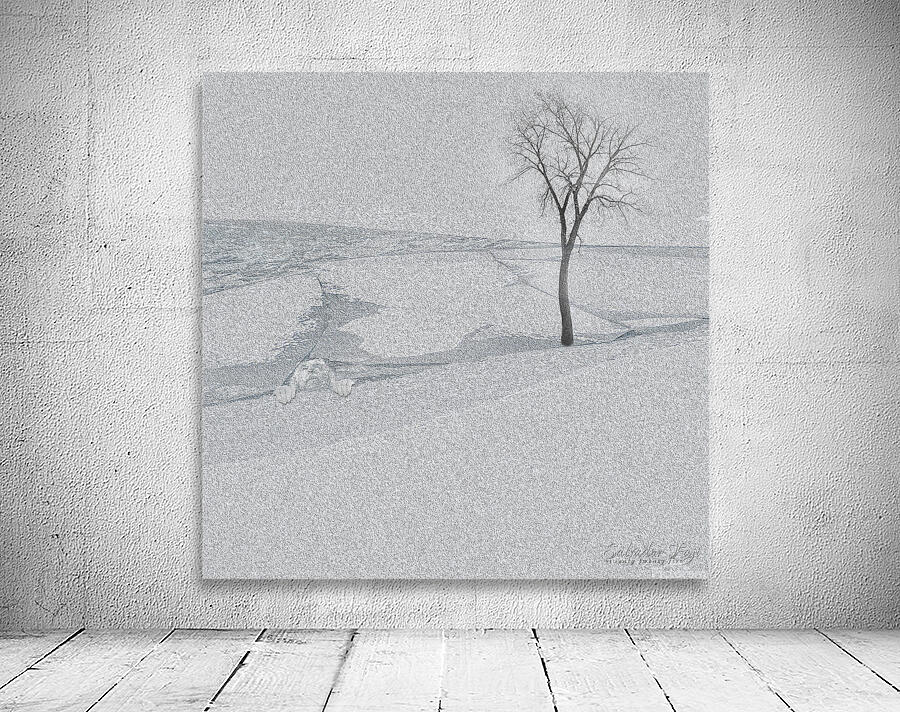 0989 Winter Swim Wall Preview