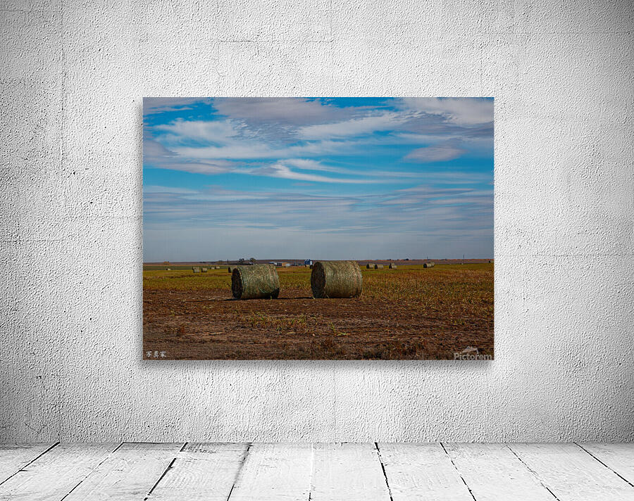 Collyer Bales Wall Preview