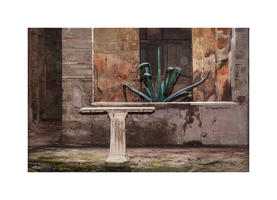 Pompeii Picture Frame print