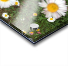 Double View  Acrylic print