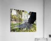 IMG 4009 Acrylic Print