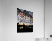 IMG 2669 Acrylic Print