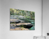 IMG 5025 Acrylic Print