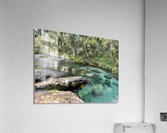 IMG 5027 Acrylic Print