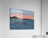 IMG 3056 Acrylic Print