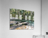 IMG 5023 Acrylic Print