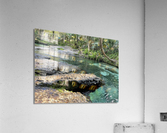 IMG 5026 Acrylic Print