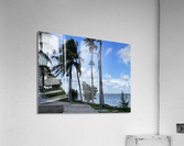 IMG 1102 Acrylic Print
