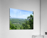 Greenery Scenery  Acrylic Print