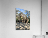 Mammoths  Acrylic Print