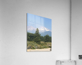 School & Shasta  Acrylic Print