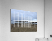 FREEDOM Acrylic Print
