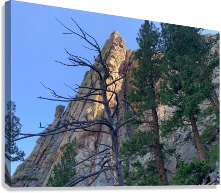 Red Rocky Effects Canvas Print
