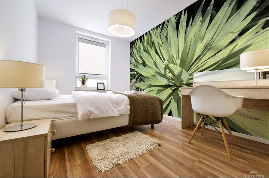 Vibrancy  Mural print