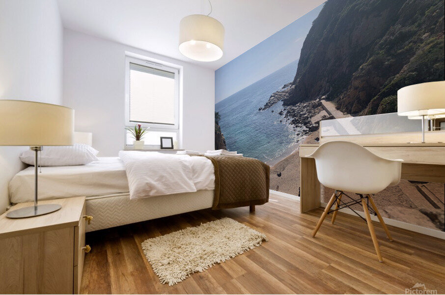 Viewss Mural print