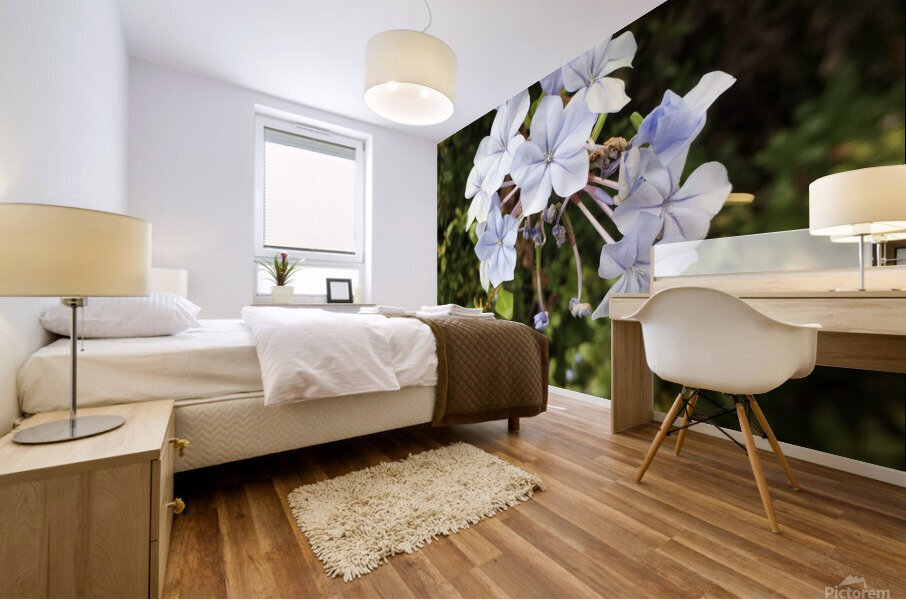 White pearls  Mural print