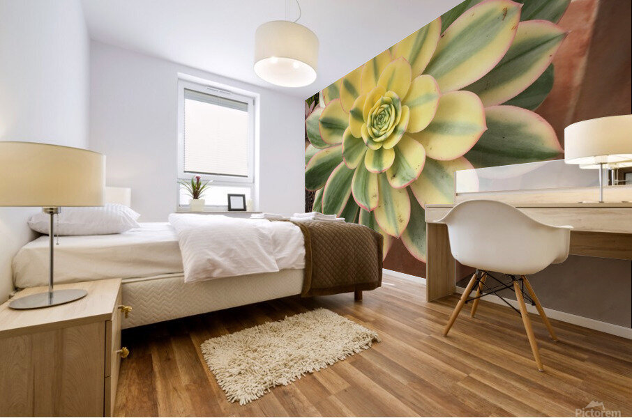 Outburst  Mural print