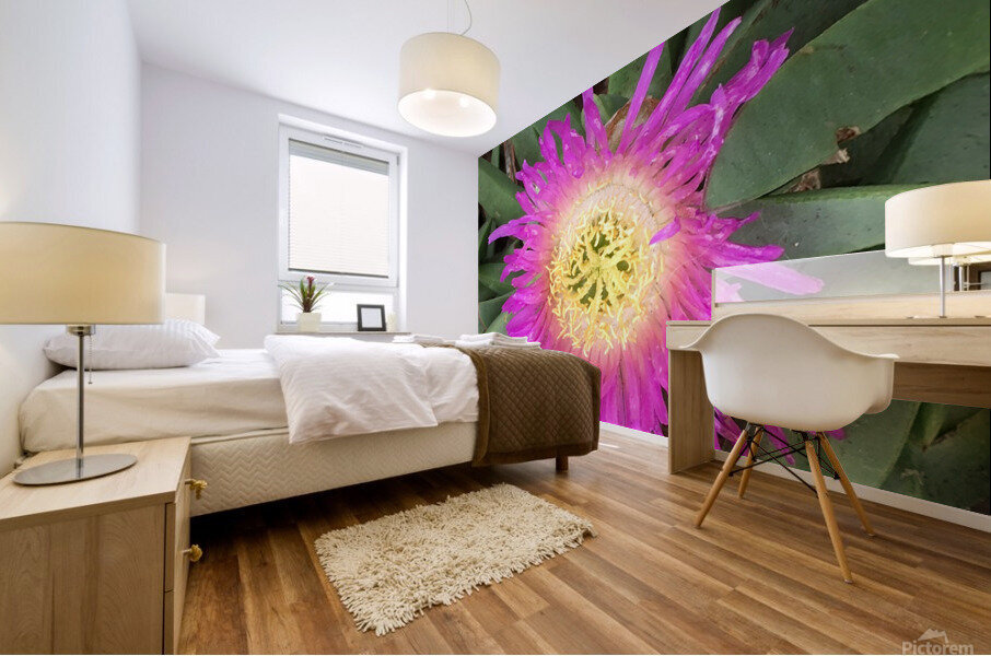 Purple Sunflower  Mural print