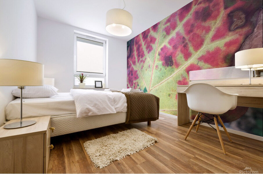 The Viens  Mural print