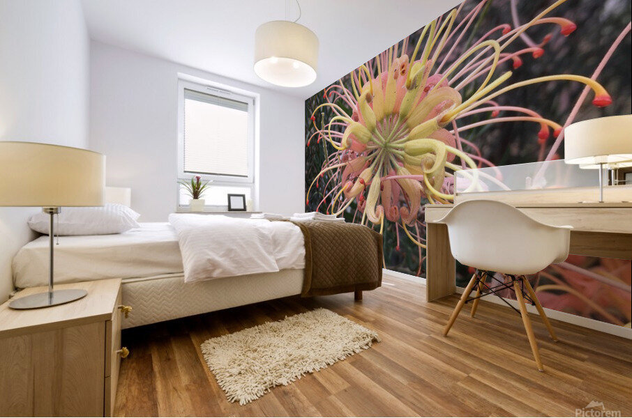 Tentacles Flower  Mural print