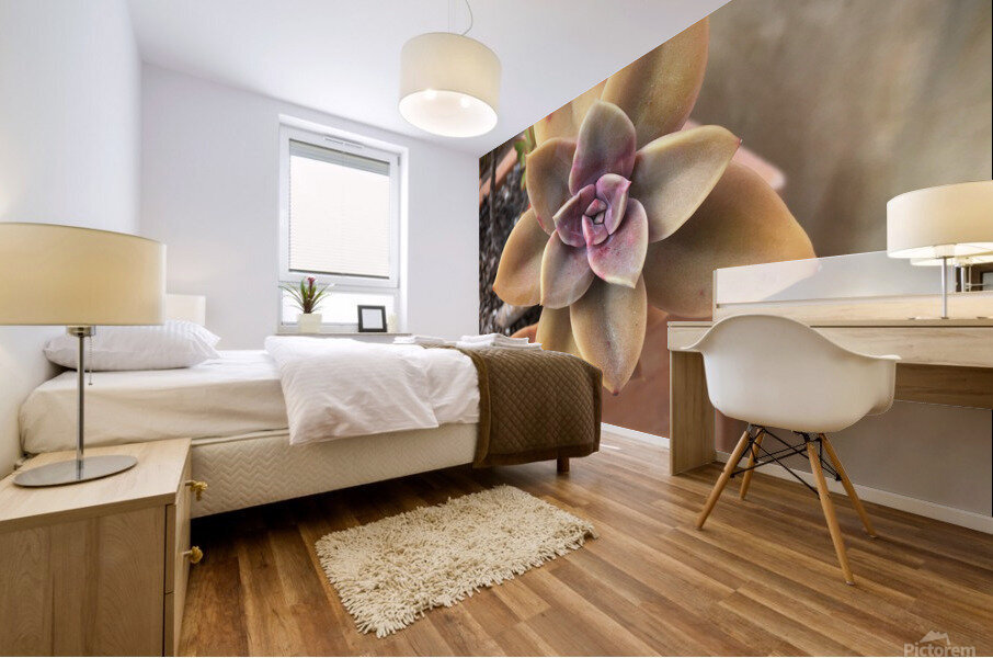 Mandela Flower  Mural print