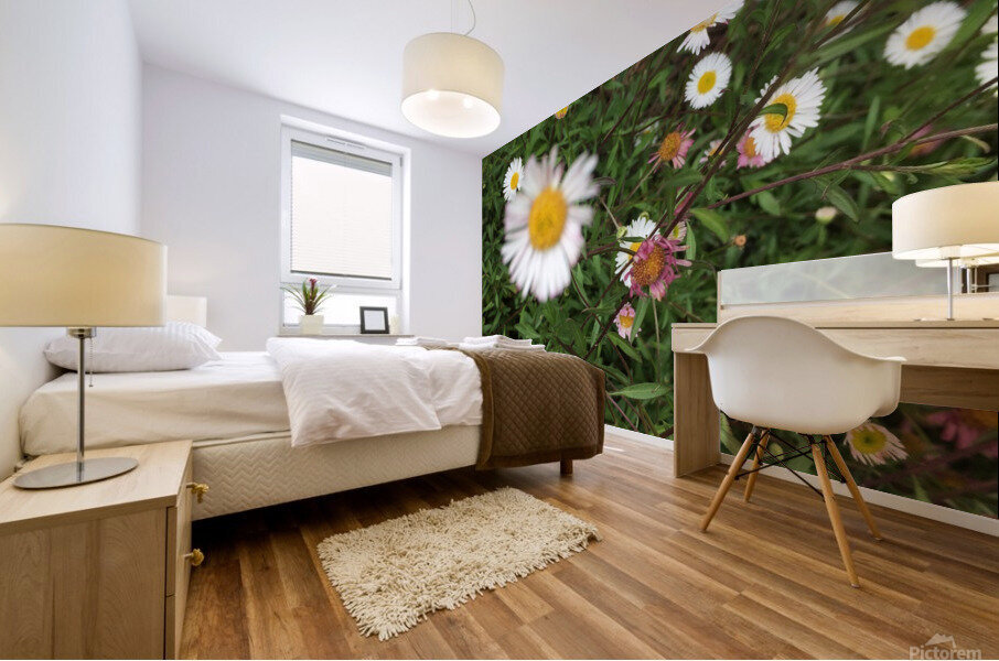 Double View  Mural print
