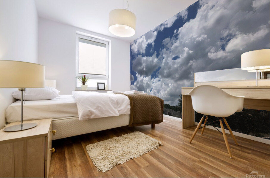 Our Clouds Mural print