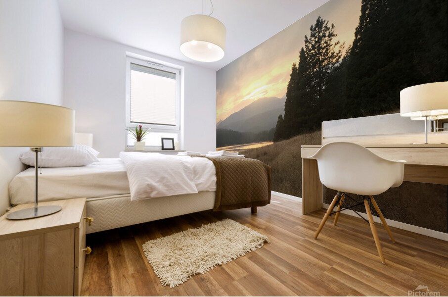 Siskiyou Mural print