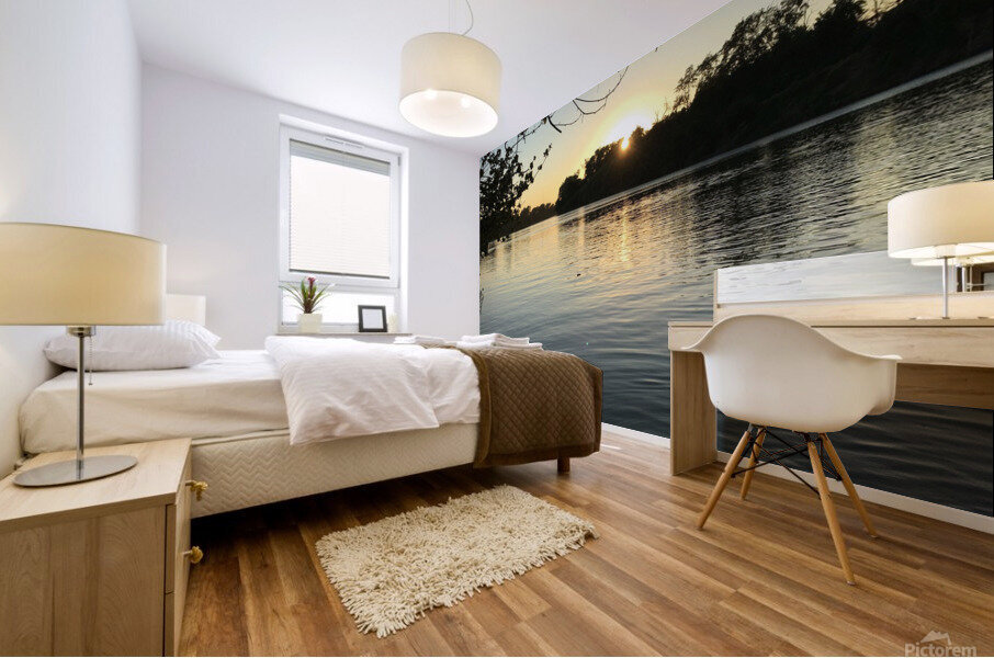 Release into the Water  Mural print