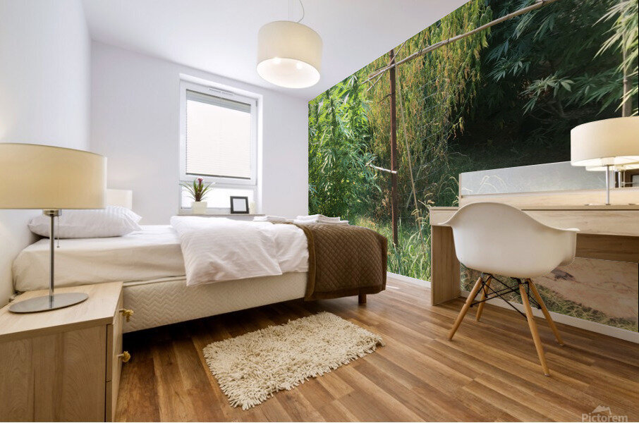 Cannbliss Mural print