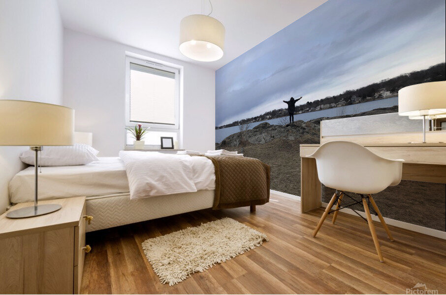 FREEDOM Mural print